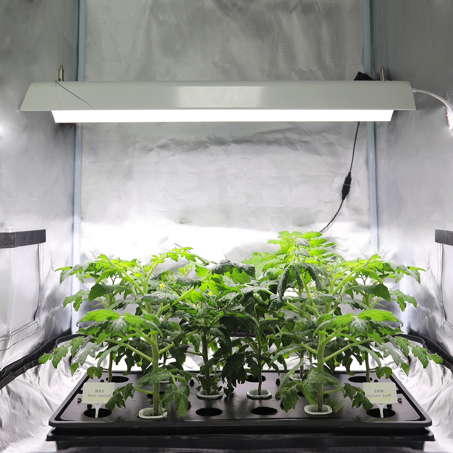 4FT 72W Full Spectrum LED Grow Strip – Hanging Horticulture Plant Light Fixture,EDKFARM Grow Light System