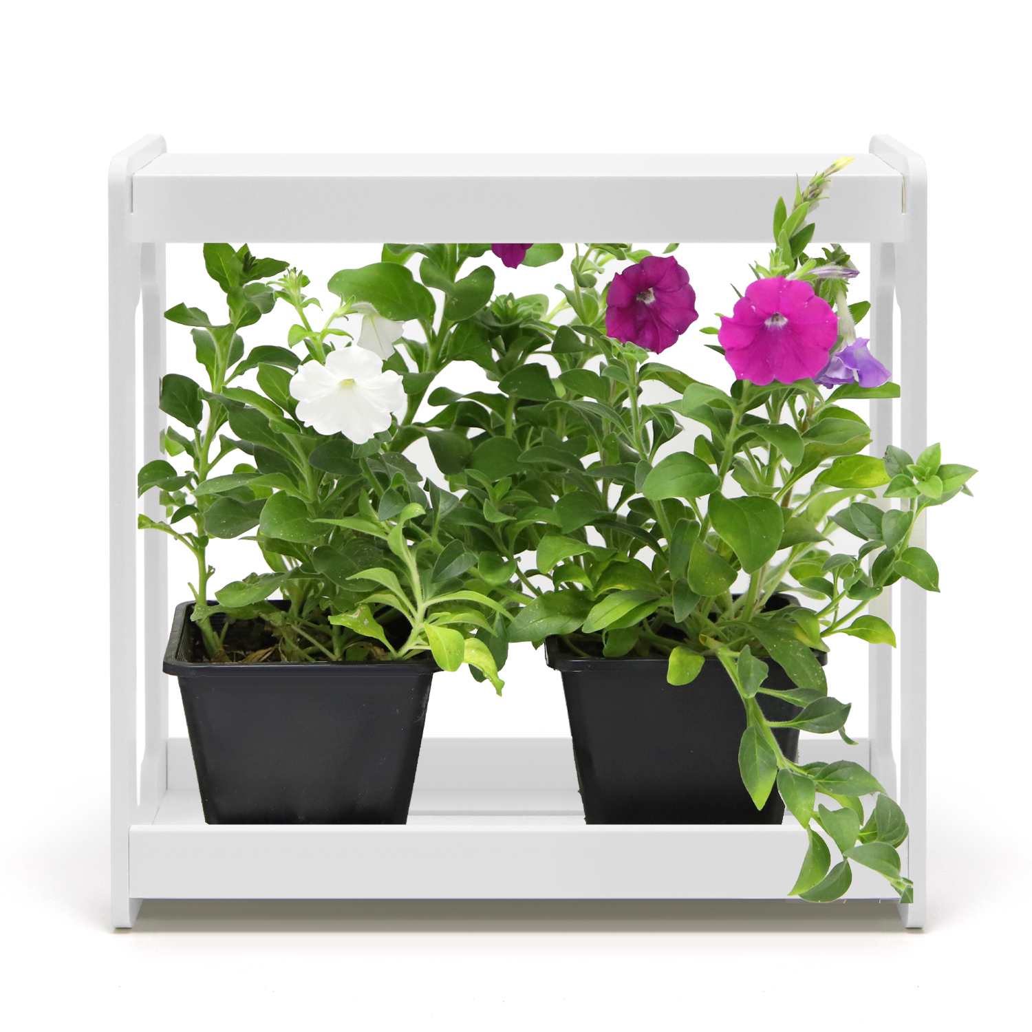 Indoor Garden Grow Lights,EDKFARM Grow Light System