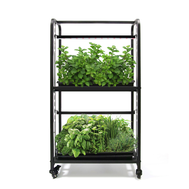 1.15m Two-Tier Adjustable LED Grow Light Rack with Dual 16W Bars – Indoor Vegetable and Herb Growing Stand,EDKFARM Grow Light System