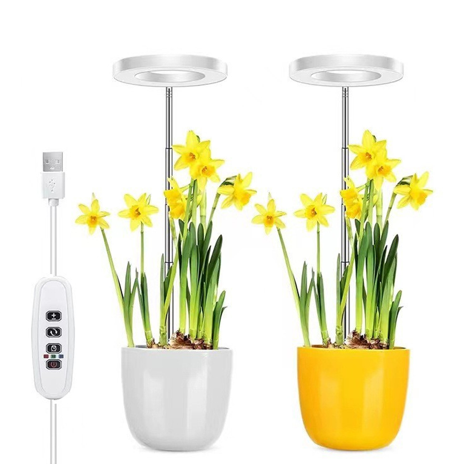 Full Spectrum Desktop Mini LED Halo Angel Ring Grow Light for Potted Plants, Herbs, Microgreens & Succulents,EDKFARM Grow Light System