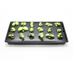18-Cell 1020 Hydroponic Propagation Tray | Seed Starter Kit for Indoor Gardening & Plant Cloning,EDKFARM Grow Light System