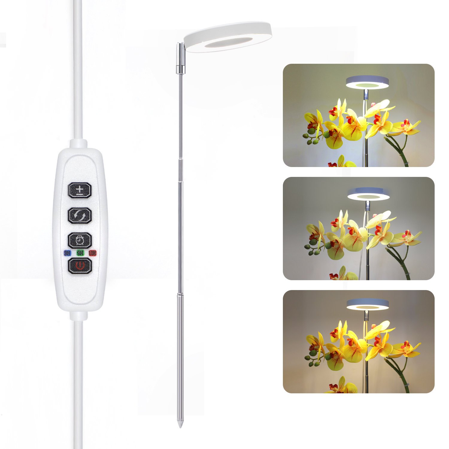 Full Spectrum Desktop Mini LED Halo Angel Ring Grow Light for Potted Plants, Herbs, Microgreens & Succulents,EDKFARM Grow Light System