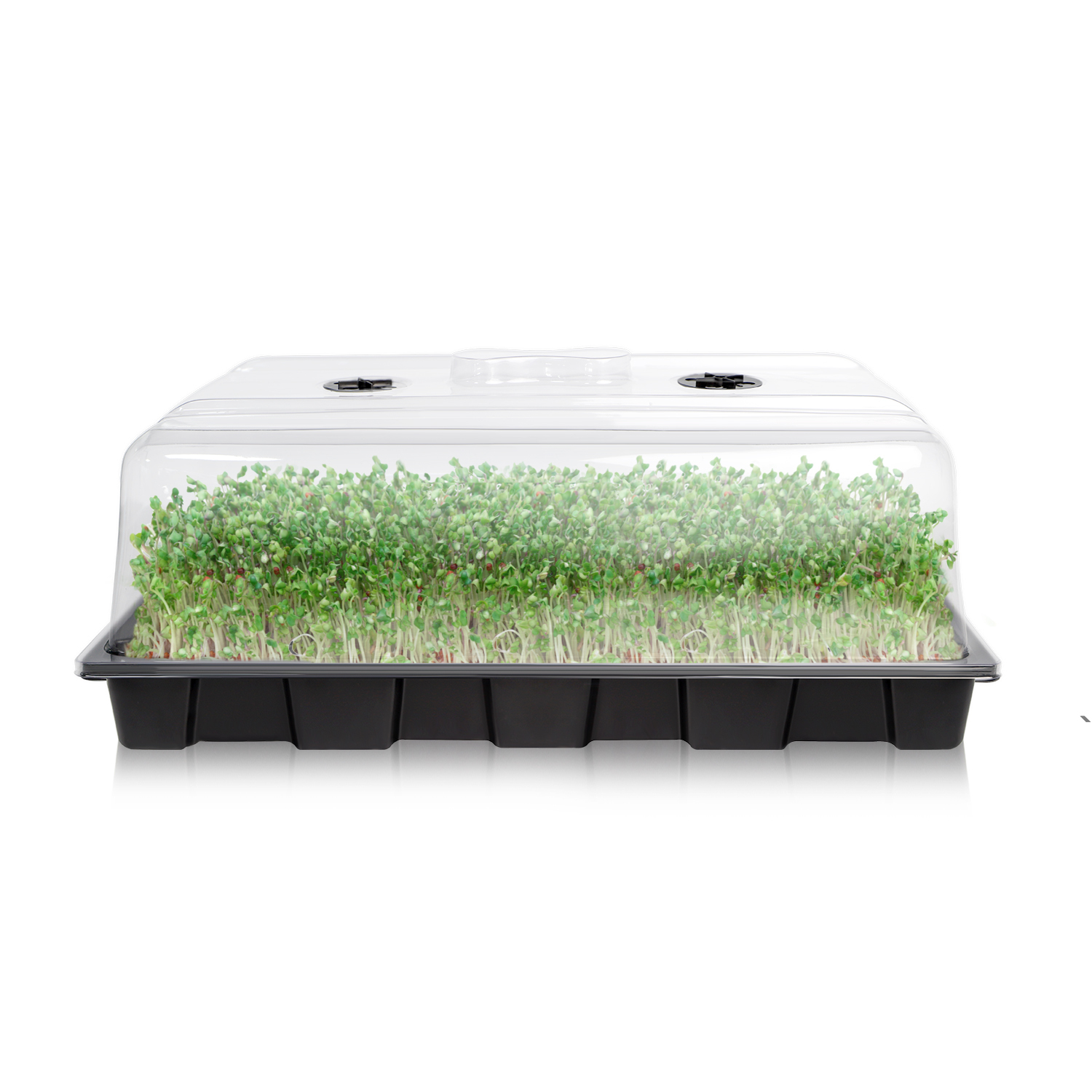 Single lamp/double lamp seedling box,EDKFARM Grow Light System