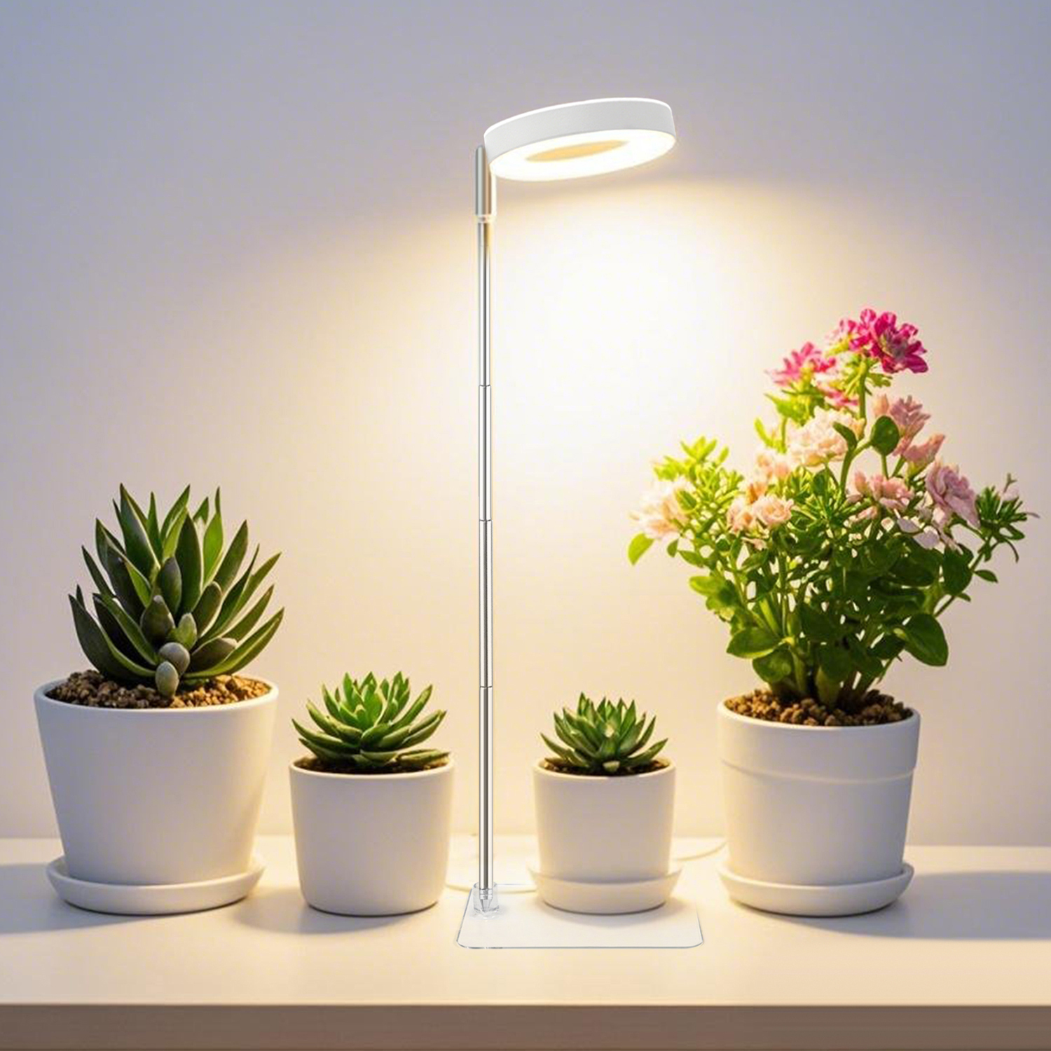 Full Spectrum Desktop Mini LED Halo Angel Ring Grow Light for Potted Plants, Herbs, Microgreens & Succulents,EDKFARM Grow Light System