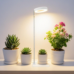 Full Spectrum Desktop Mini LED Halo Angel Ring Grow Light for Potted Plants, Herbs, Microgreens & Succulents,EDKFARM Grow Light System