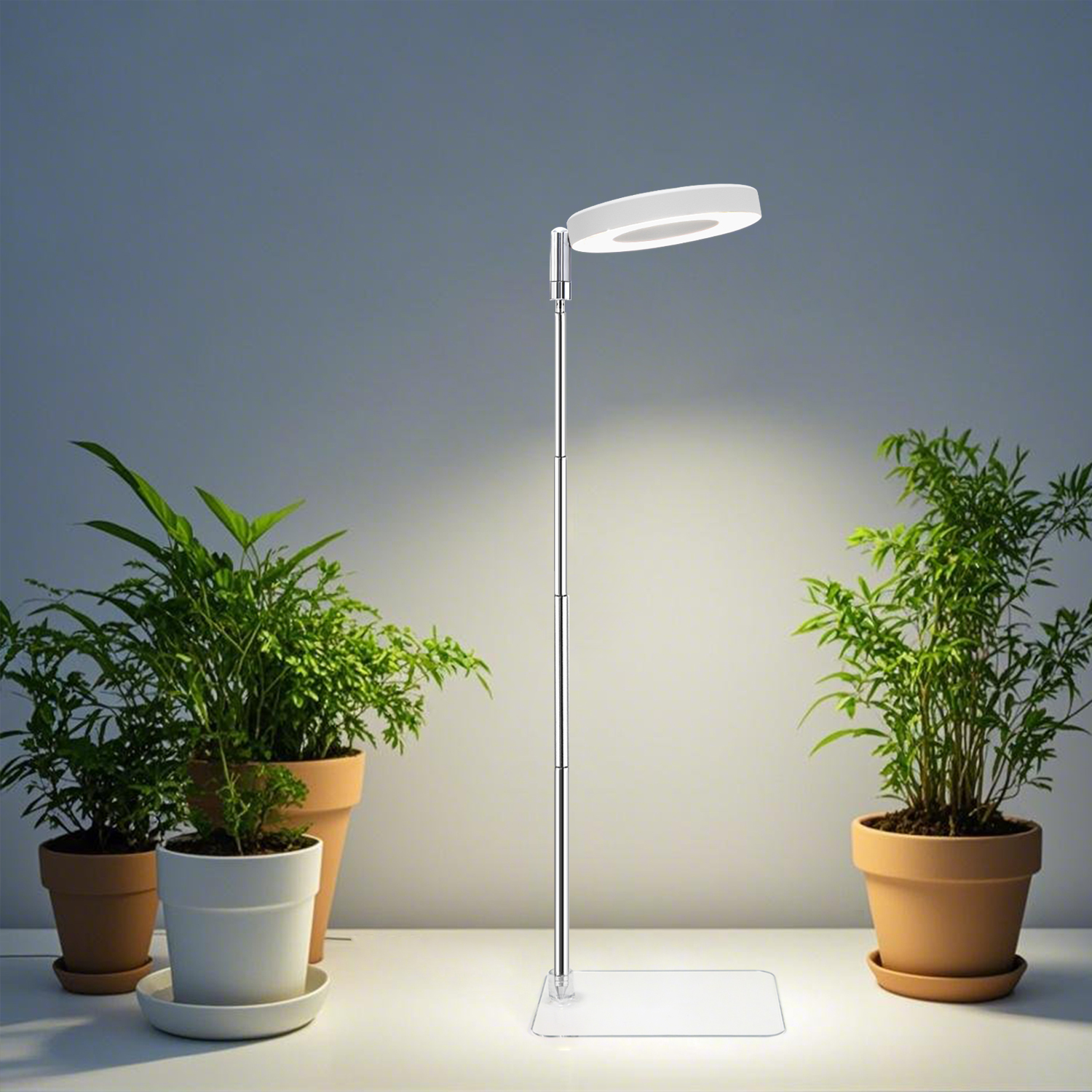 Full Spectrum Desktop Mini LED Halo Angel Ring Grow Light for Potted Plants, Herbs, Microgreens & Succulents,EDKFARM Grow Light System