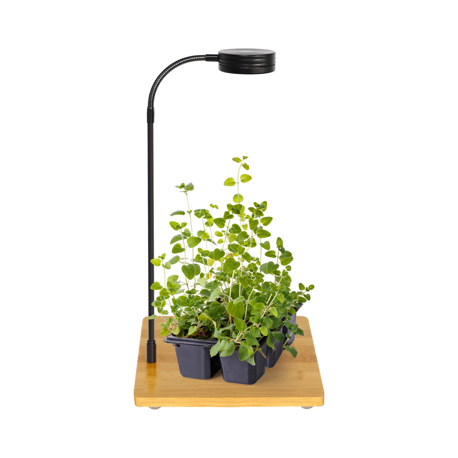 Full Spectrum Micro Landscape LED Illumination Lamp Bamboo Grow Light Stand with Bamboo Board,EDKFARM Grow Light System