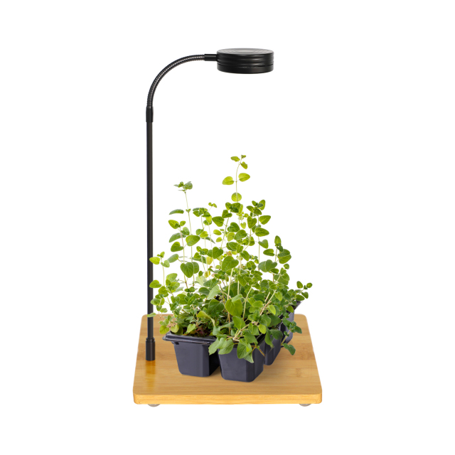 Full Spectrum Micro Landscape LED Illumination Lamp Bamboo Grow Light Stand with Bamboo Board,EDKFARM Grow Light System