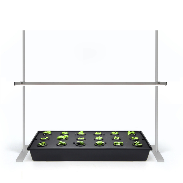 Seedling Grow Light Stand,EDKFARM Grow Light System
