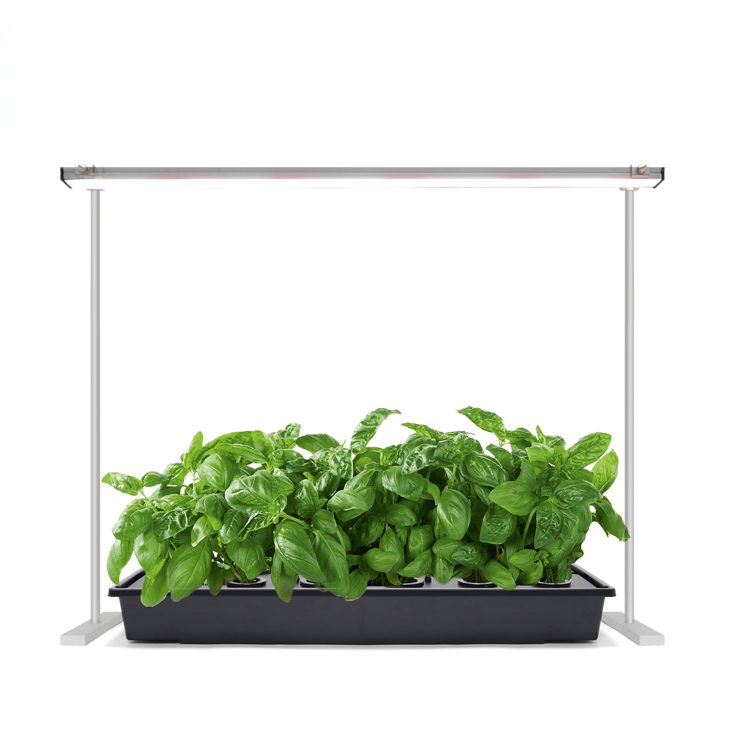 Seedling Grow Light Stand,EDKFARM Grow Light System