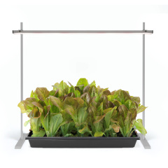 Seedling Grow Light Stand,EDKFARM Grow Light System