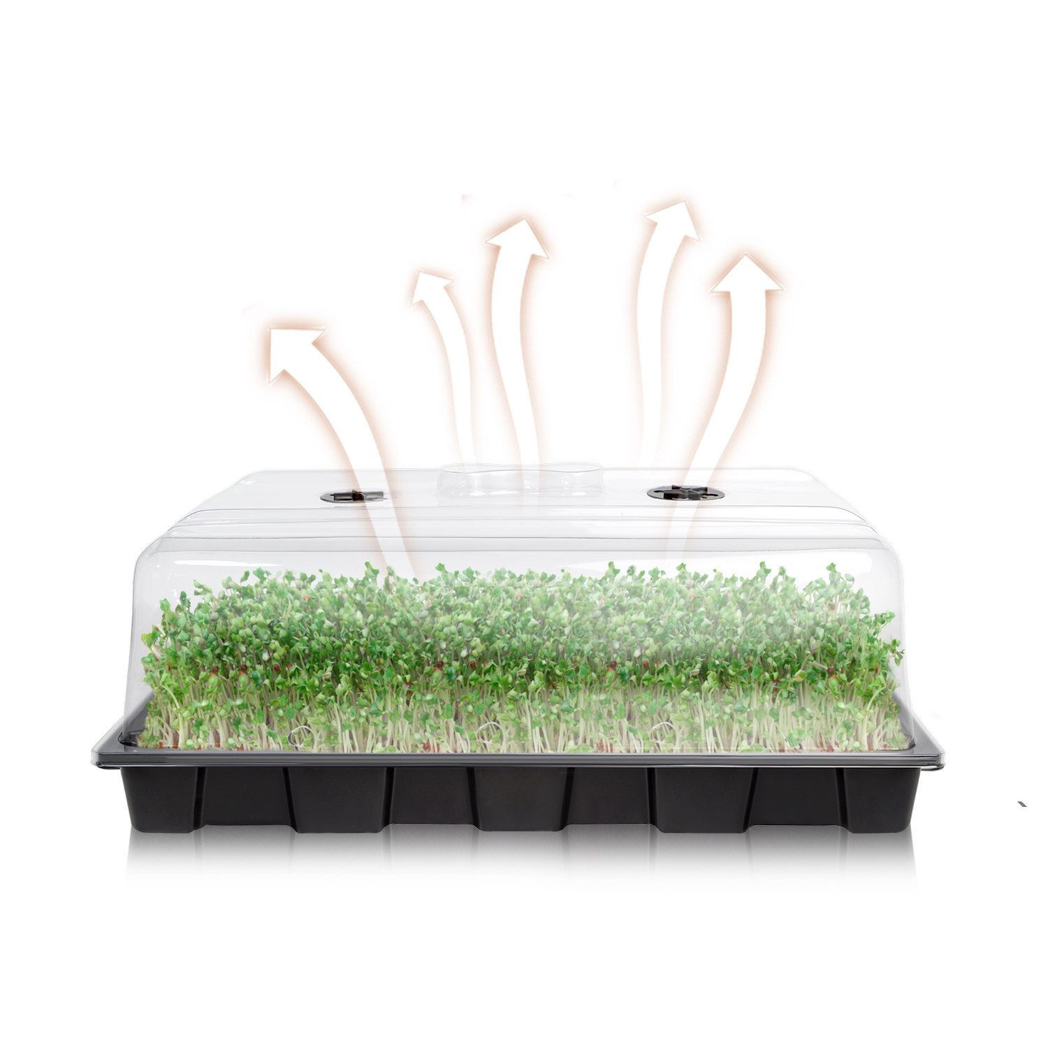 Single lamp/double lamp seedling box,EDKFARM Grow Light System