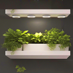 Decorative Ceiling-Mount Angel Grow Light 1 to 4 Ring DC5V USB Phytolamp for Indoor Plant Seedlings Home Flower Succulent,EDKFARM Grow Light System