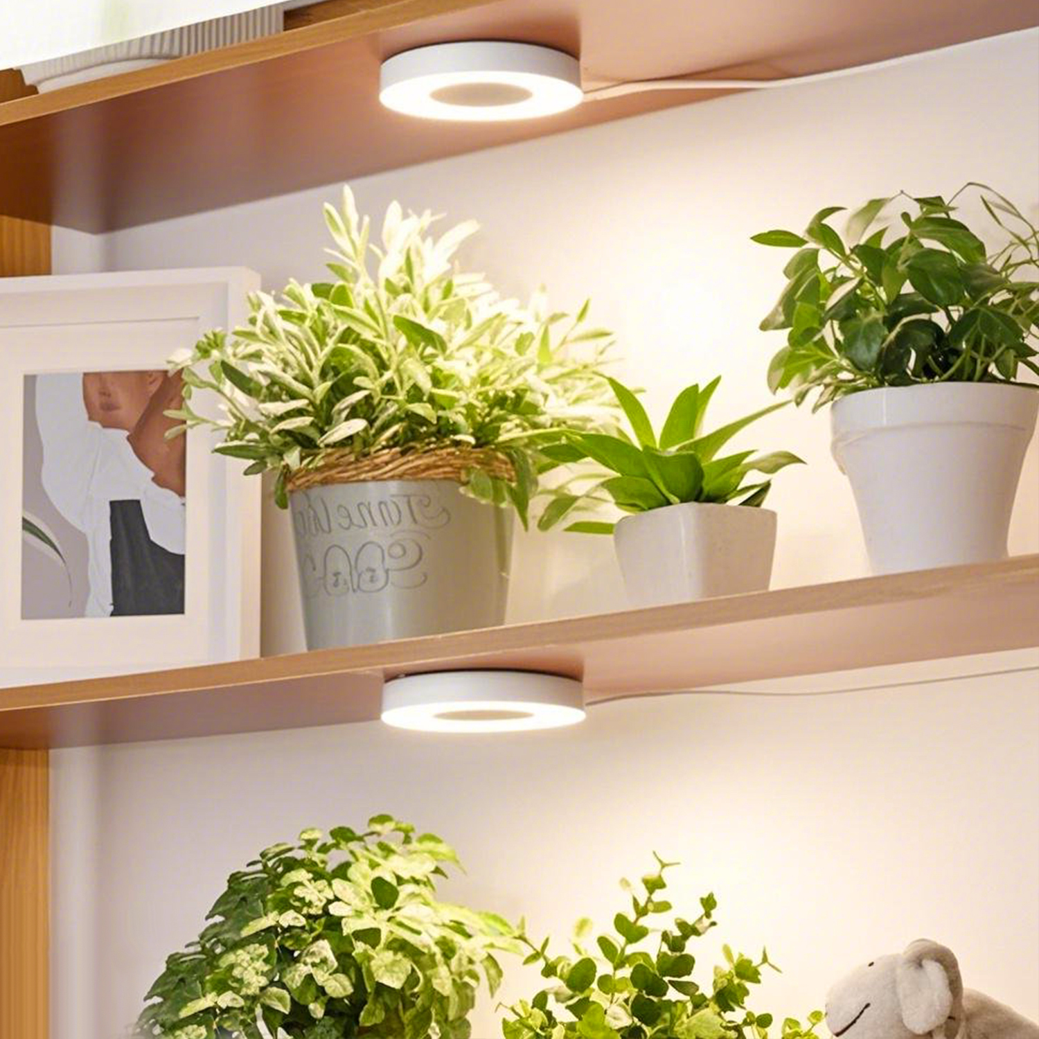 Decorative Ceiling-Mount Angel Grow Light 1 to 4 Ring DC5V USB Phytolamp for Indoor Plant Seedlings Home Flower Succulent,EDKFARM Grow Light System