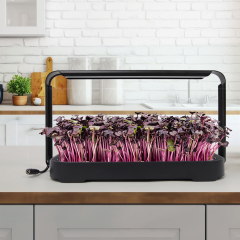 Gen 2 Mini Indoor Smart Hydroponic Garden Planter Kit — Automatic Grow Light Sprouter for Leafy Greens, Herbs & Microgreens,EDKFARM Grow Light System