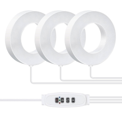 Decorative Ceiling-Mount Angel Grow Light 1 to 4 Ring DC5V USB Phytolamp for Indoor Plant Seedlings Home Flower Succulent,EDKFARM Grow Light System