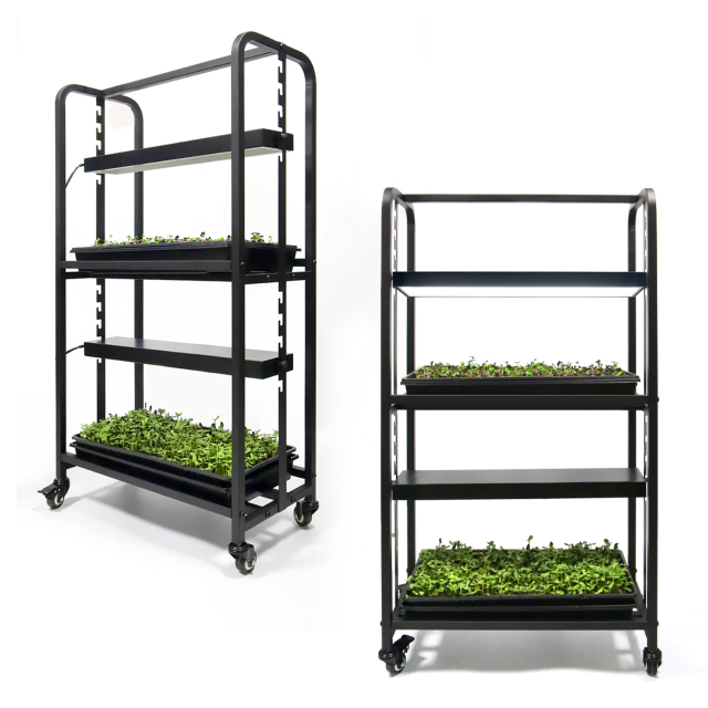 1.15m Adjustable Height 2-Tier Grow Light System – Plant Grow Stand for Seed Starting, Indoor Vegetables, and Herbs,EDKFARM Grow Light System