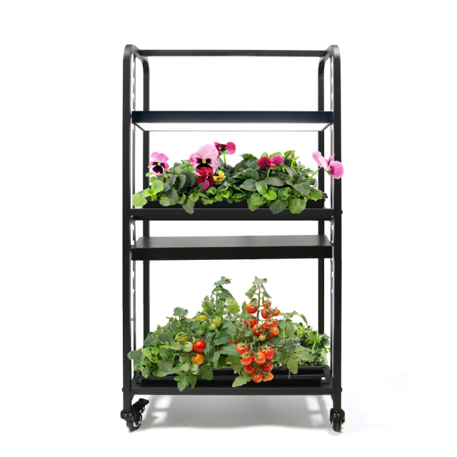 1.15m Adjustable Height 2-Tier Grow Light System – Plant Grow Stand for Seed Starting, Indoor Vegetables, and Herbs,EDKFARM Grow Light System