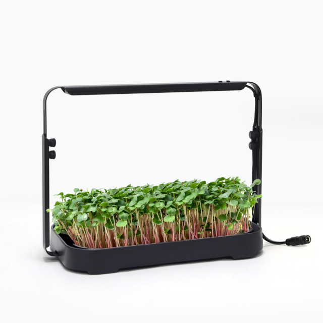 Gen 3 Adjustable Height Intelligent Garden Kit – Smart Timer Hydroponic Sprouter for Herbs, Microgreens & Seedlings on Office & Home Desks,EDKFARM Grow Light System