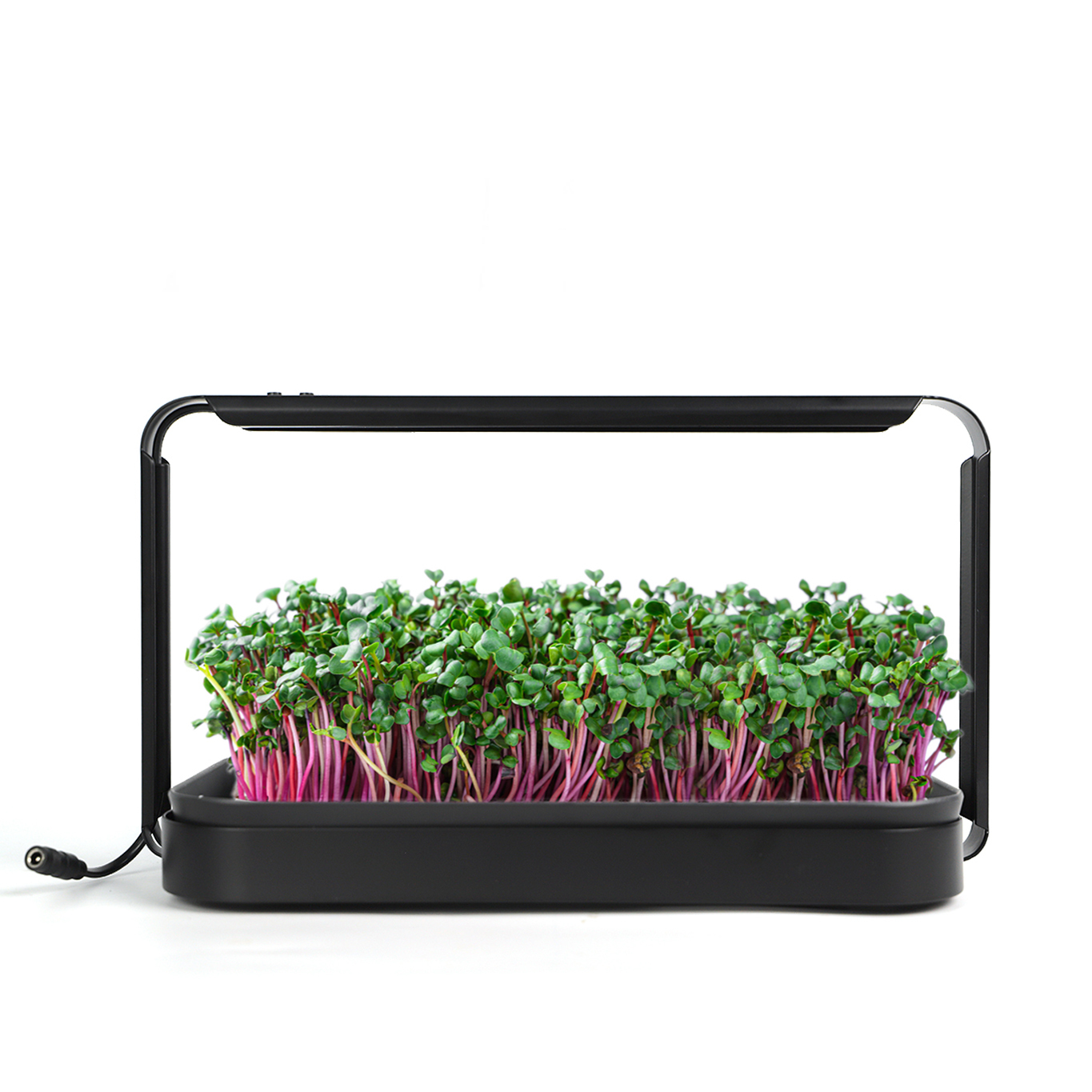 Indoor Microgreen Germination Smart Garden Kit (1.0) — Hydroponic Indoor Growing System,EDKFARM Grow Light System