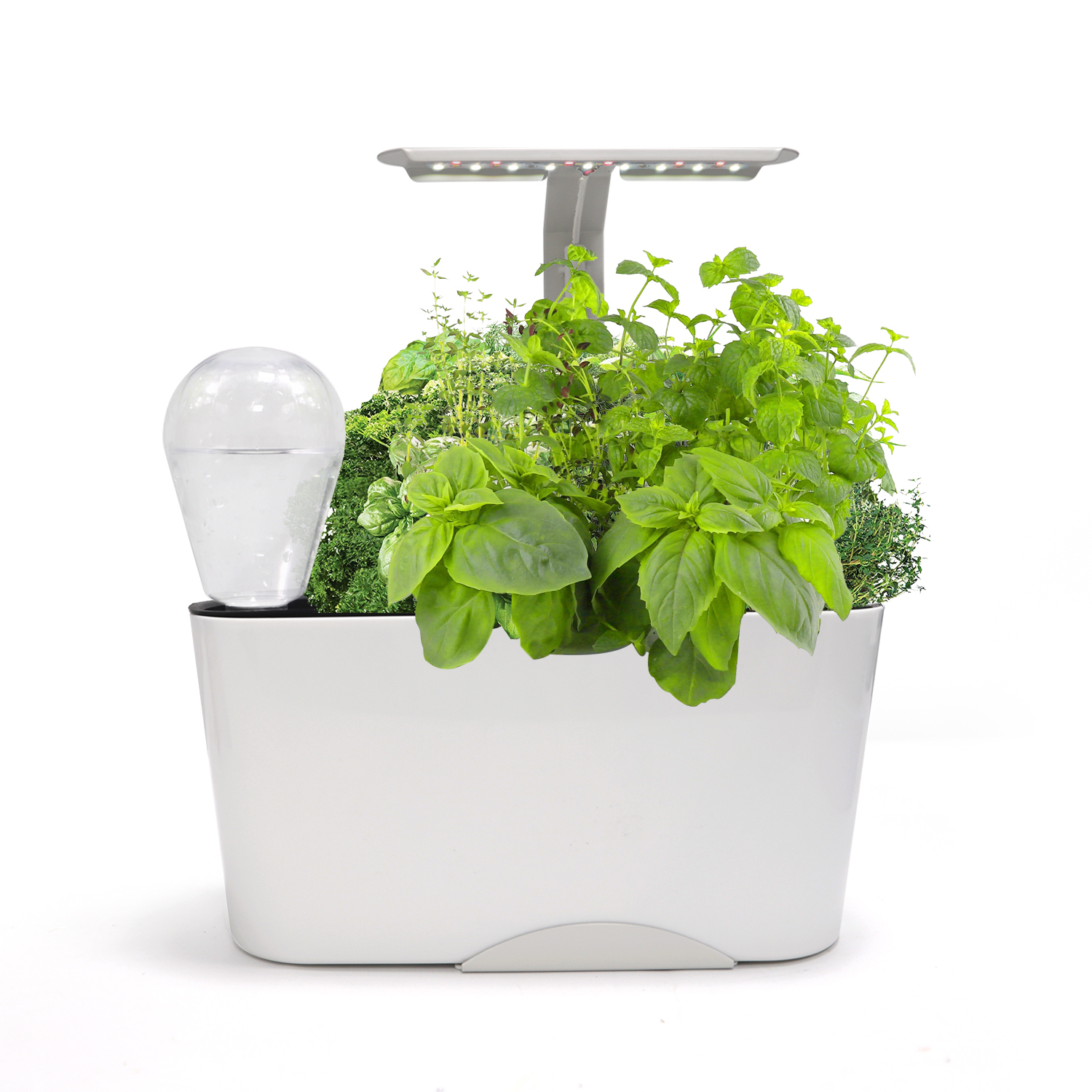 Smart Self-Watering Planter with Full-Spectrum LED Grow Light – Effortlessly Grow Basil, Mint & Lettuce Indoors,EDKFARM Grow Light System