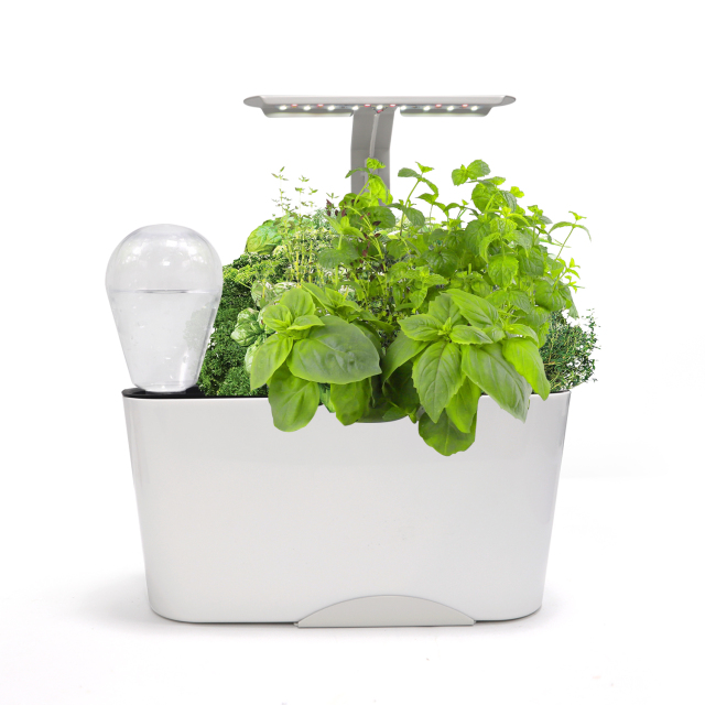 Smart Self-Watering Planter with Full-Spectrum LED Grow Light – Effortlessly Grow Basil, Mint & Lettuce Indoors,EDKFARM Grow Light System