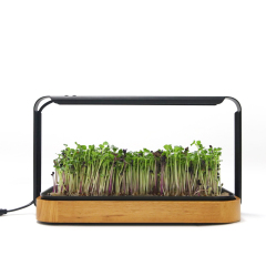 Mini Indoor Wood Grain Hydroponic Planter Kit – Customizable LED Grow Light System for Herbs, Leafy Greens & Seedlings,EDKFARM Grow Light System