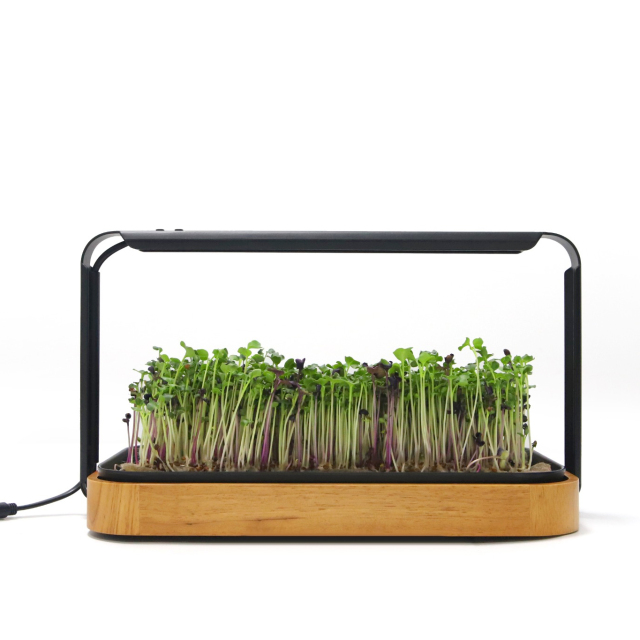 Mini Indoor Wood Grain Hydroponic Planter Kit – Customizable LED Grow Light System for Herbs, Leafy Greens & Seedlings,EDKFARM Grow Light System