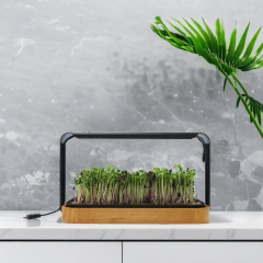 Mini Indoor Wood Grain Hydroponic Planter Kit – Customizable LED Grow Light System for Herbs, Leafy Greens & Seedlings,EDKFARM Grow Light System