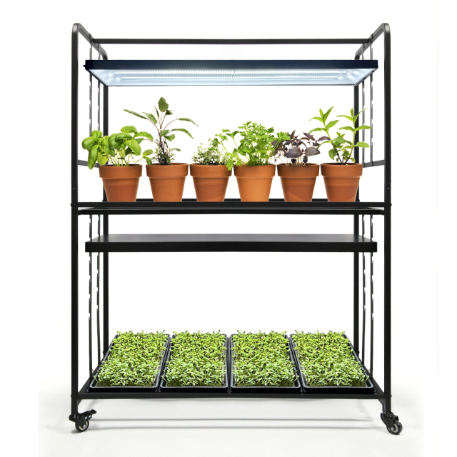 1.5m Adjustable Height 2-Tier Plant Stand with LED Grow Light – Ideal for Indoor Herb and Vegetable Growing,EDKFARM Grow Light System