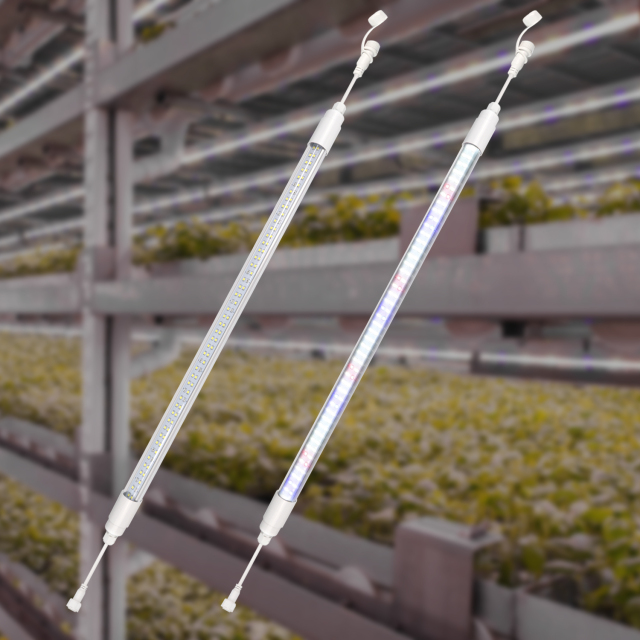 LED T8 2FT & 4FT Grow Light High Quality Vegetable Hydro Light for Microgreen Baby Leaf Mushroom LED Grow Light,EDKFARM Grow Light System