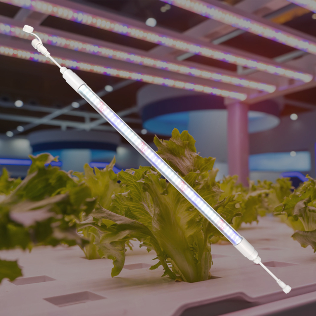LED T8 2FT & 4FT Grow Light High Quality Vegetable Hydro Light for Microgreen Baby Leaf Mushroom LED Grow Light,EDKFARM Grow Light System