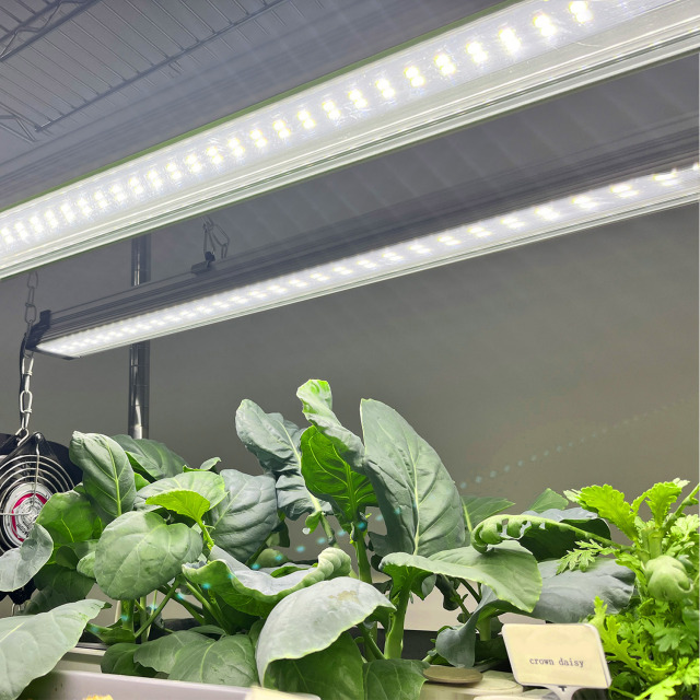 EDK 3PIN Full Spectrum LED Grow Light – High-Efficiency Indoor & Greenhouse Light,EDKFARM Grow Light System