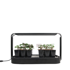 12-Cell Black Seedling Tray – Robust & Reusable Nursery Starter,EDKFARM Grow Light System