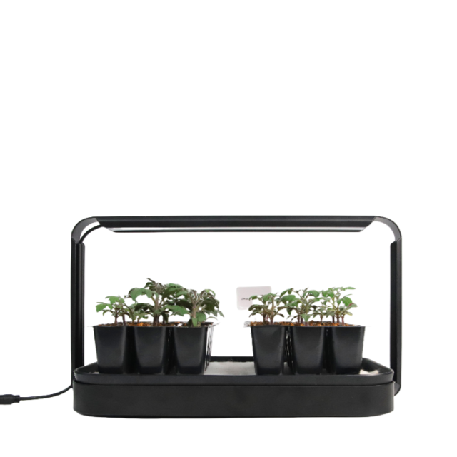 12-Cell Black Seedling Tray – Robust & Reusable Nursery Starter,EDKFARM Grow Light System