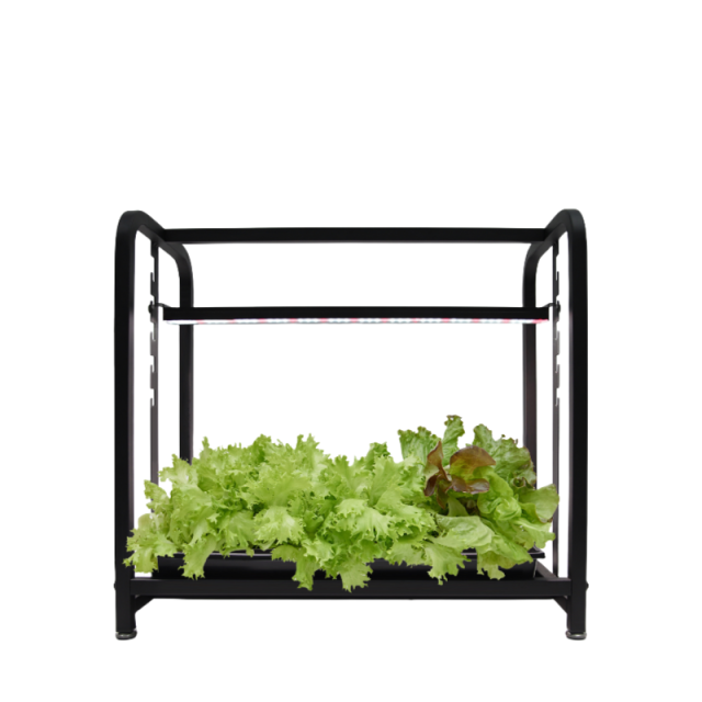 0.58m Adjustable Full Spectrum LED Grow Light System 16W Seedling Gardening,EDKFARM Grow Light System