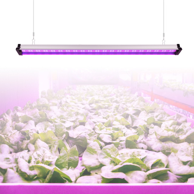 EDK 36W UV-IR Grow Light – IP20/IP65 Waterproof Options, UV and IR Spectrum to Promote Plant Growth,EDKFARM Grow Light System