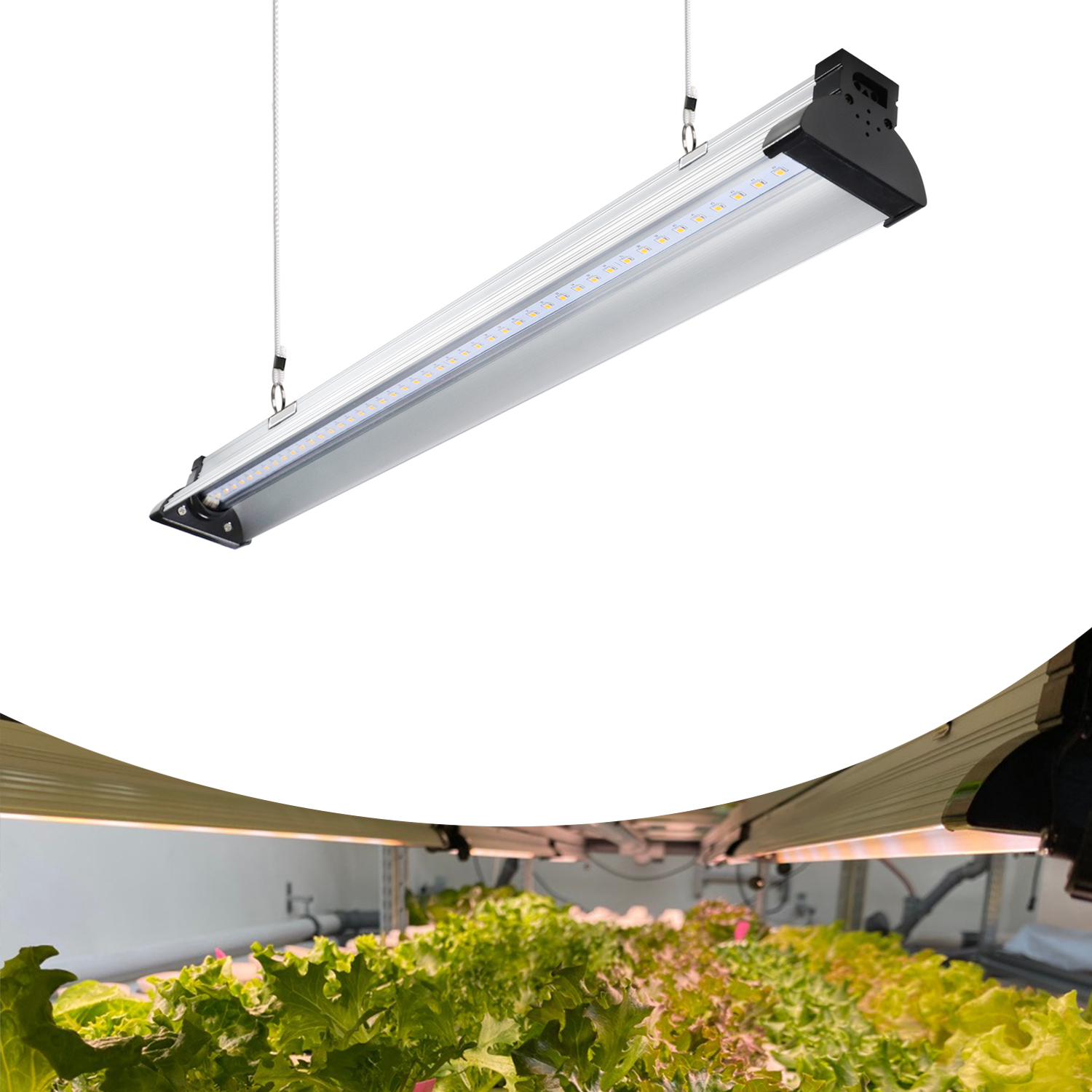 EDK I LED Grow Lights – 12W to 48W, Full Spectrum with Customizable Color Temperature,EDKFARM Grow Light System