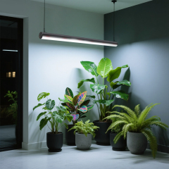 Full Spectrum 72W LED Grow Strip 4FT - Best for Indoor Seed Starting & Propagation 2026,EDKFARM Grow Light System