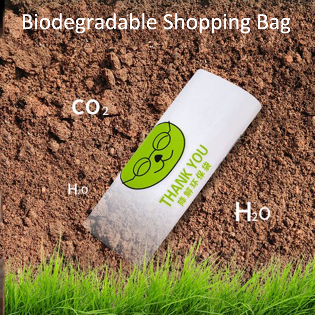 OEM Logo Printing White Colour Reusable Biodegradable Supermarket Vest Bag