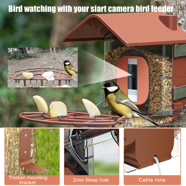 Intelligent AI recognition bird feeder solar powered camera outdoor high-definition bird watching device
