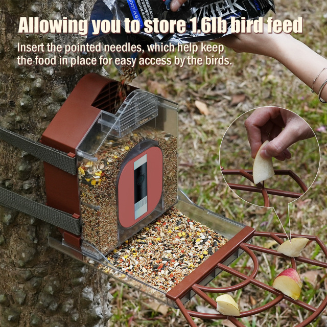 Intelligent AI recognition bird feeder solar powered camera outdoor high-definition bird watching device