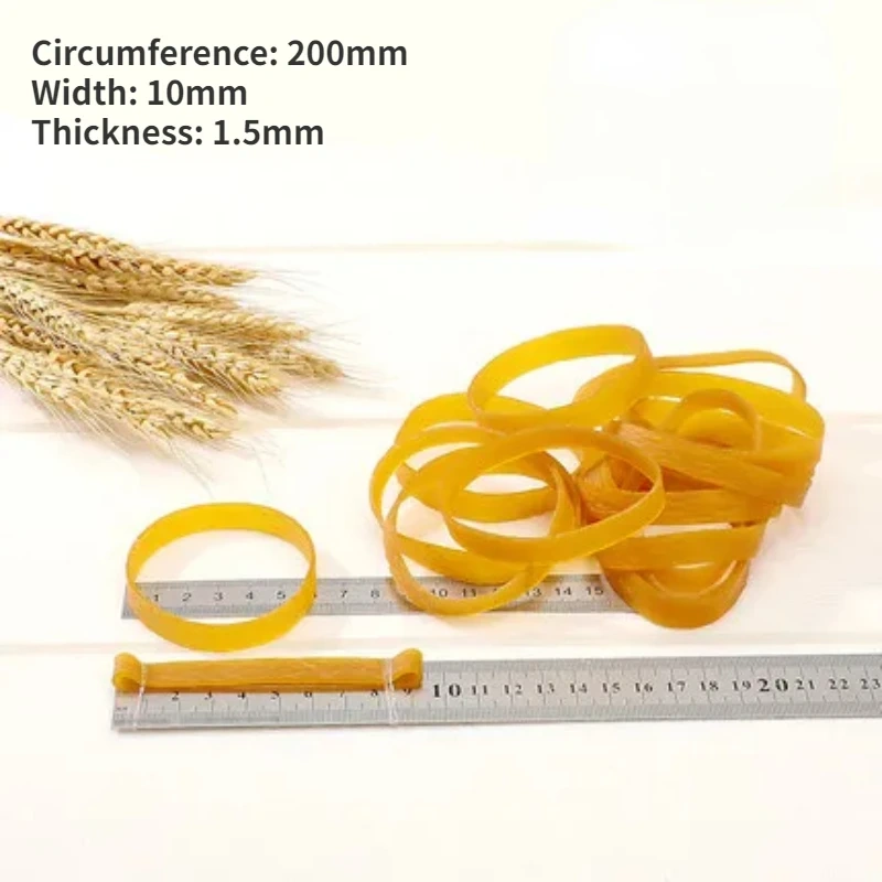 500g 3/5/10x200mm  Elastic Rubber Band Natural Rubber Ring Apron Latex Ring Sealing Belay Packaging Resistance High Temperature
