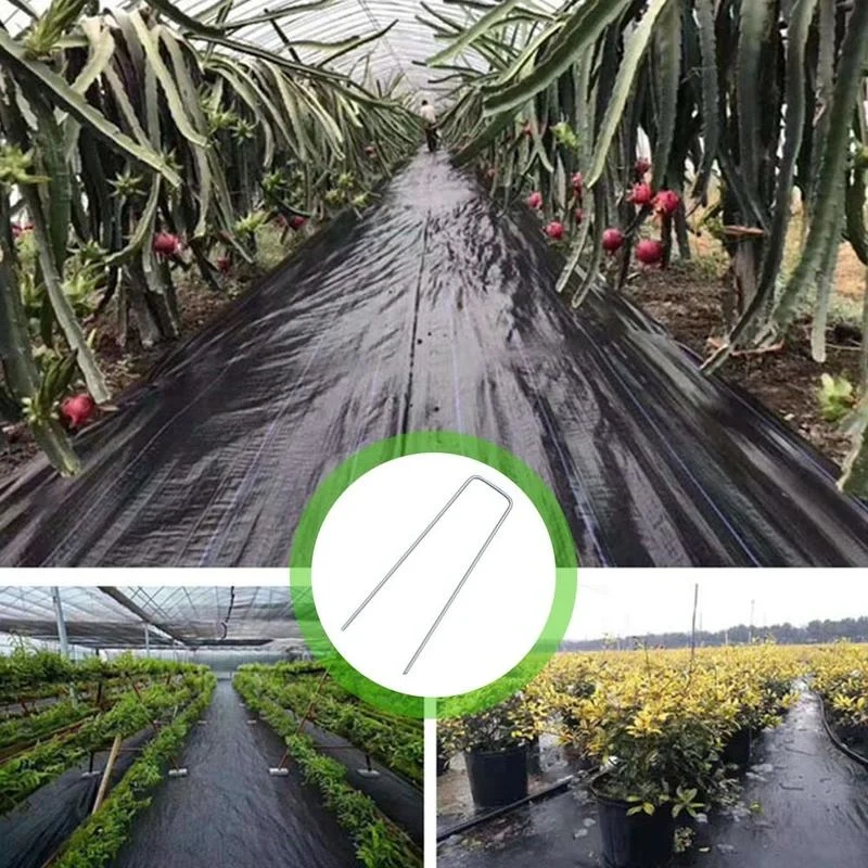 50Pcs/Pack Galvanized Steel Garden Pile U-Shaped Nails Fixing Turf Tool For Weed Fabric Landscape Anti-Bird Mesh Net