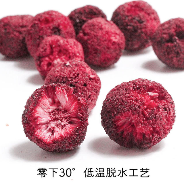 Freeze-Dried Bayberry – Tangy, Sweet & Addictively Crunchy | OEM Available