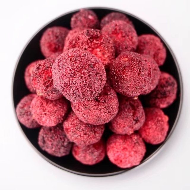 Freeze-Dried Bayberry – Tangy, Sweet & Addictively Crunchy | OEM Available