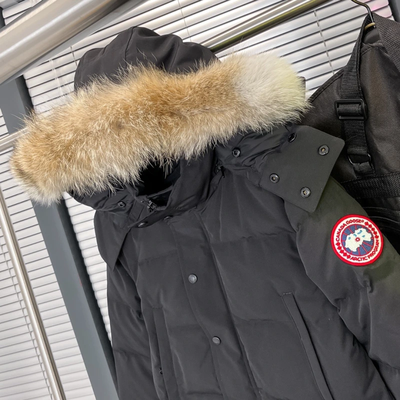 *canada goose