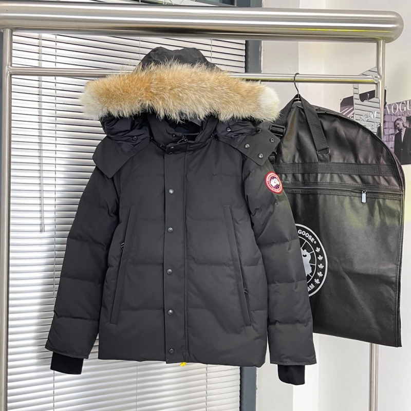 *canada goose