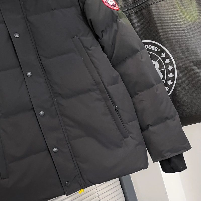 *canada goose