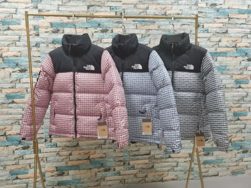 THE -NORTH FACE down jacket